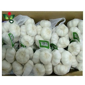 Small <strong>Net</strong> <strong>Bag</strong> for Garlic 1kg 5kg 10kg - Product Image 2