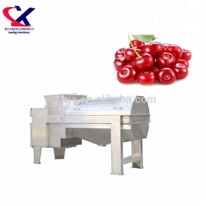 Công nghiệp Cherry Máy Ép Trái Cây Máy Cherry Máy Làm Nước Trái Cây - Product Image 2