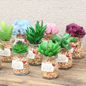 Hàng Mới Về Cây Xanh Nhựa Nhân Tạo Cây Nhiệt Đới Mini Cây Mọng Nước Trong Chậu Thủy Tinh - Product Image 4