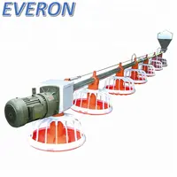 Everon Brand Poultry Automatic Feeding System for Broiler Farm