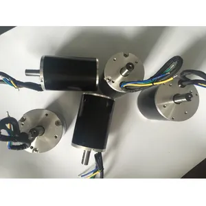 24 V 300 W מנוע dc Brushless עם hallsensor