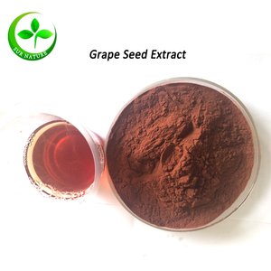 Best Quality <strong>Grape</strong> <strong>Seed</strong> <strong>Extract</strong> 95% OPC Powder - Product Image 2