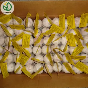 Naturel nouvelle récolte d'ail blanc Fabricants (ajo)