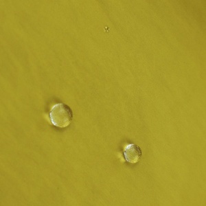 75D không thấm nước Crinkle Nylon Polyester bicomponenet vải - Product Image 2