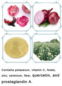Hongda Nhà máy cung cấp nguồn cung cấp hành tây đỏ chiết xuất quercetin bột - Product Image 3
