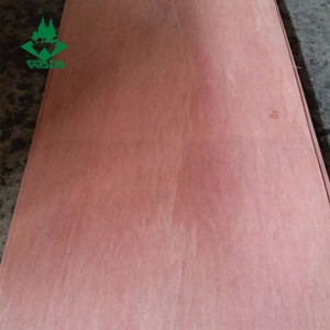 Imballaggio grade foglio <span class=keywords><strong>di</strong></span> compensato <span class=keywords><strong>di</strong></span> <span class=keywords><strong>betulla</strong></span>/in legno multistrato listino prezzi - Product Image 3