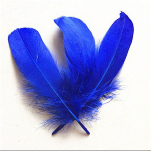 Bán Buôn Tự Nhiên Nhuộm Số Lượng Lớn Lông Ngỗng Cho Quả Cầu Lông - Product Image 2