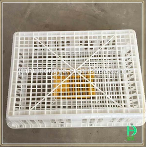 GREAT FARM Cage <span class=keywords><strong>de</strong></span> transport <span class=keywords><strong>de</strong></span> volaille en plastique Offre Spéciale pour poulets vivants - Product Image 6