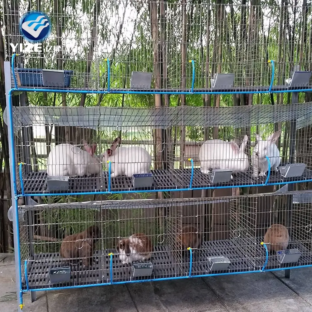 Çin üretici ucuz tavşan için kafes/ucuz galvanizli kaynaklı tavşan kafesi tel örgü/tavşan kafesi mat