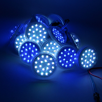 Luces LED RGB direccionables de 60 mm, 24 V, IP66, impermeables, de PVC, para parques temáticos