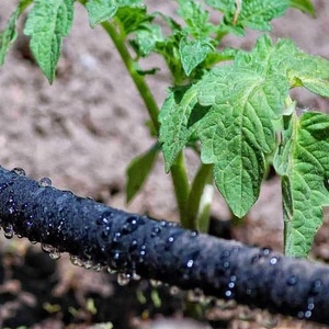 Tubo Poroso in Gomma Nera da 50m per Irrigazione - Product Image 2