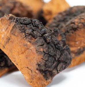 Hongo <span class=keywords><strong>Chaga</strong></span> Entero Seco Natural, Hongo Cinder Conk de Abedul, Proveniente de Bosques Silvestres - Product Image 2