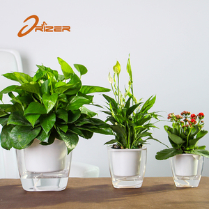 <span class=keywords><strong>Amazon</strong></span> caliente muestra libre barato casa y jardín decoración transparente maceta, plantador del jardín - Product Image 3
