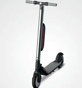 2021 CE / EN15194/RoHs认证250w无刷直流电动机的escooter
