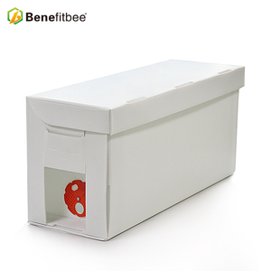 A prueba de agua 5 marco plástico caja abeja colmena NUC cajas <span class=keywords><strong>para</strong></span> la venta - Product Image 3