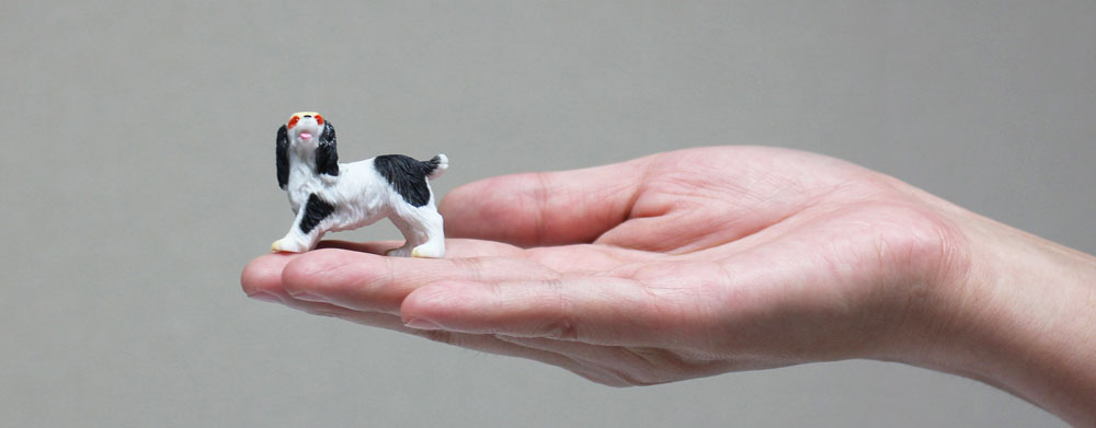 楽天市場】プラスチック（骨・ボーン｜おもちゃ）：犬用品