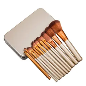 Lady Cosmetic Beauty Tools 12pcs NAKE 3 Set di pennelli cosmetici per trucco con scatola di metallo