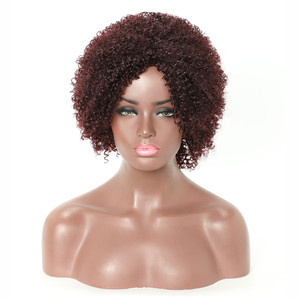 <span class=keywords><strong>2021</strong></span> Noël Afro Perruque Courte Grossier Crépus Bouclés Jerry Cheveux Style Populaire Perruque Synthétique pour les Femmes Noires - Product Image 1