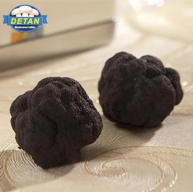 Detan Harga Jamur Liar Truffle Hitam Segar