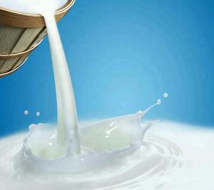 Machines et équipements de transformation laitière - Product Image 4