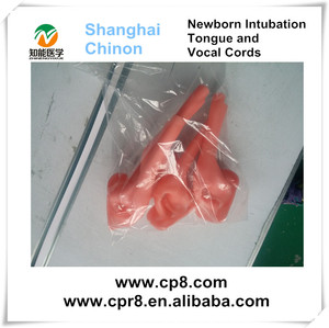 <span class=keywords><strong>Recursos</strong></span> Didácticos BIX-J2A bebé recién nacido airway intubación maniquí - Product Image 4