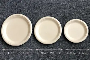 Bagasse Pulp Paper Plates Compostable Biodegradable Sugarcane Dinnerware Bagasse Paper Pulp 10inch Round Plate