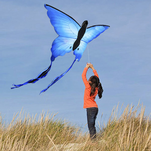 Fácil de juguete al aire libre mantequilla <span class=keywords><strong>cometa</strong></span> para los niños con precio barato - Product Image 6
