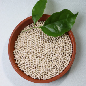 Phân Tử Sàng <span class=keywords><strong>5A</strong></span> Hạt/Vòng Cho PSA Oxy Tập Trung/Oxy Máy Phát Điện/Oxy-Làm - Product Image 3