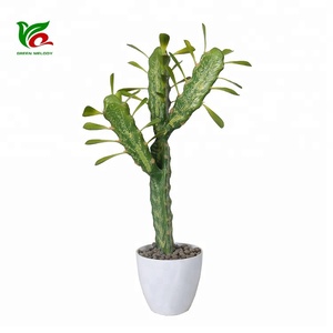 Quasi naturale piante succulente <span class=keywords><strong>cactus</strong></span> vasi artificiale <span class=keywords><strong>pianta</strong></span> <span class=keywords><strong>di</strong></span> <span class=keywords><strong>cactus</strong></span> - Product Image 3