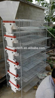 Cage automatique pour l'élevage de 300 cailles