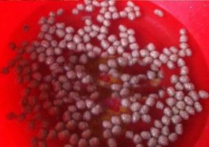 Alta calidad peces flotando máquina <span class=keywords><strong>de</strong></span> alimentación <span class=keywords><strong>anime</strong></span> violación pellet máquina - Product Image 6