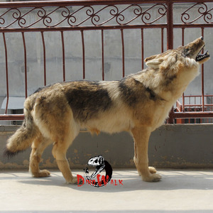 Simulation de loup, taille de la <span class=keywords><strong>vie</strong></span> modèle astronomique - Product Image 4
