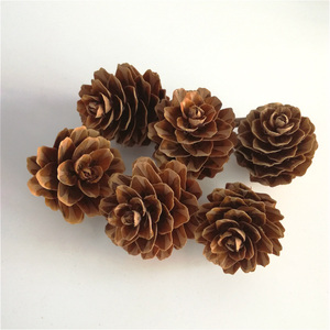 Boxed Natural <strong>Pinecones</strong> and Dried Flowers for Christmas Ornaments and Shooting Props with Flocking Printing Techniques - Product Image 6