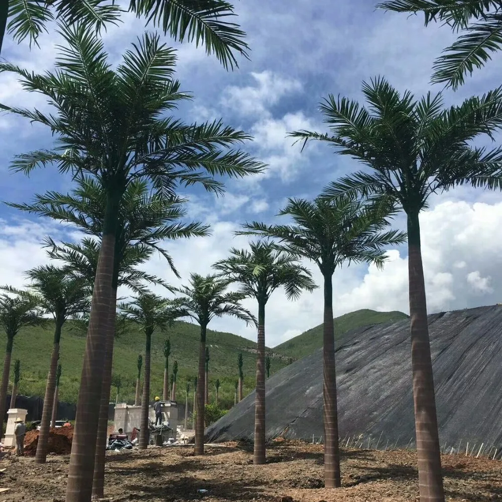 Pohon Besar Royal Kelapa Raja Buatan 7 Meter Luar Ruangan dengan Diameter Batang 40Cm