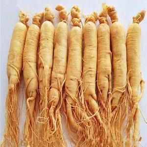 Ücretsiz Örnek Çekiç Satın Ginseng Changbai Ginseng - Product Image 4