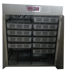 Incubateur automatique pour œufs <span class=keywords><strong>de</strong></span> poulet, 2000 unités, <span class=keywords><strong>couveuse</strong></span> - Product Image 2
