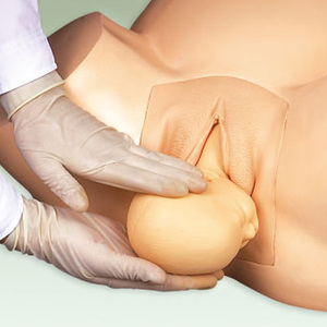 Modello Didattico di Parto, Modello Umano per l'Insegnamento della Distocia, Modello di Ostetricia per il Parto - Product Image 3
