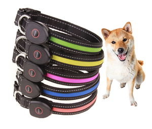 De calidad superior <span class=keywords><strong>Led</strong></span> <span class=keywords><strong>collar</strong></span> de perro <span class=keywords><strong>collar</strong></span> - Product Image 3