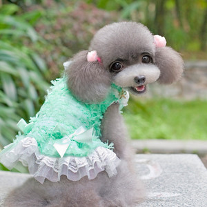 2015 venta caliente preparación del perro, invierno mascotas vestir, <span class=keywords><strong>sexy</strong></span> de encaje del arco floral vestido de invierno perro - Product Image 2