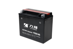 <span class=keywords><strong>Batterie</strong></span> au plomb-acide Denel <span class=keywords><strong>YTX20L</strong></span>-<span class=keywords><strong>BS</strong></span> neuve 12V 20Ah pour le démarrage des motos - Product Image 5