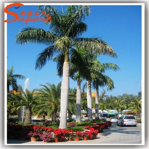 Dubai Và Ai Cập Bất Kỳ Loại Kích Cỡ Của Cây Cọ Nhựa Thu Nhỏ Cây Cọ Nhân Tạo - Product Image 3