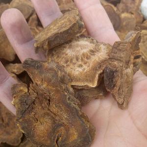 Raw seca rhubarb indiana radix polegar revat chinni darmera pelata raízes para chá - Product Image 2