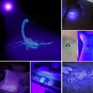 Đèn pin <span class=keywords><strong>LED</strong></span> cực tím, 9 đèn pin <span class=keywords><strong>LED</strong></span> UV cho máy dò nước tiểu/tìm Bọ Cạp - Product Image 5