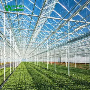 Tampa de vidro da estrutura de aço galvanizada usado casa verde comercial com sistema de cultivo hidropônico