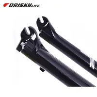 Direct Sales Titanium Folding Bicycle Front fork of bike forks