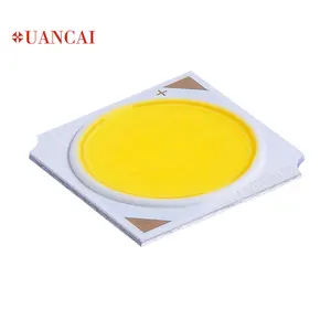 Nhà Máy Giá Epistar & Bridgelux Chip 19*19/17Mm 10W 20W 30W 40W 50W Ánh Sáng Công Suất Cao Souce Hình Tròn Led COB Chip