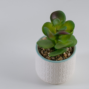 Grosir Elegan Seperti Kehidupan Dekoratif Set 2 Buatan <span class=keywords><strong>Succulent</strong></span> Tanaman Dalam Pot Keramik dengan Bambu Berdiri - Product Image 4