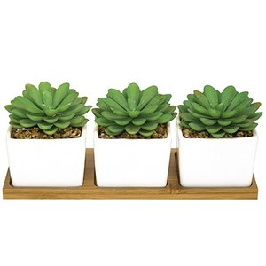 Artificiale Mini <span class=keywords><strong>Piante</strong></span> Succulente <span class=keywords><strong>in</strong></span> Piazza Bianco Vasi di <span class=keywords><strong>Ceramica</strong></span> - Product Image 3
