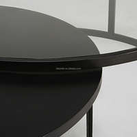 Ensemble de 2 tables basses décoratives en métal noir et verre trempé pour le salon
