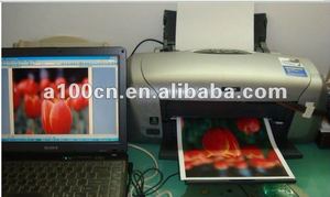 Giấy In Chuyển Nhiệ<span class=keywords><strong>t</strong></span> <span class=keywords><strong>T</strong></span>ối Cho Mũ Và Áo Phông - Product Image 3